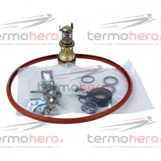 Cartuccia Remeha S100217